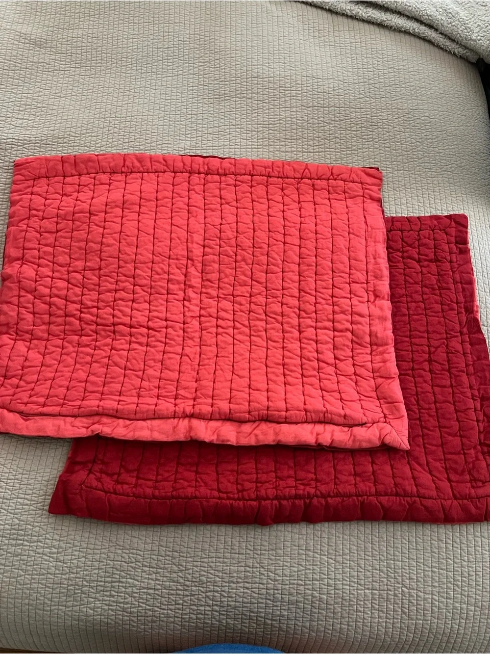 Pottery Barn Standard Pillow Shams (pair)